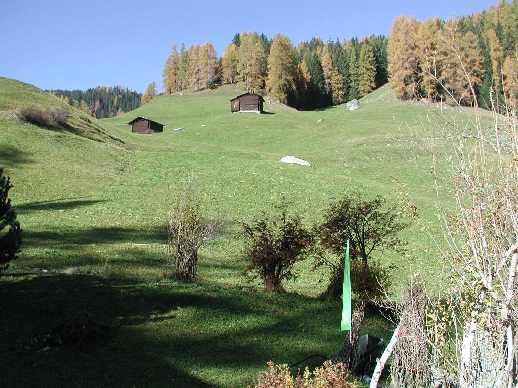 Apartment Gadenstatt Davos